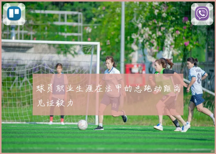 球员职业生涯在法甲的总跑动距离见证毅力