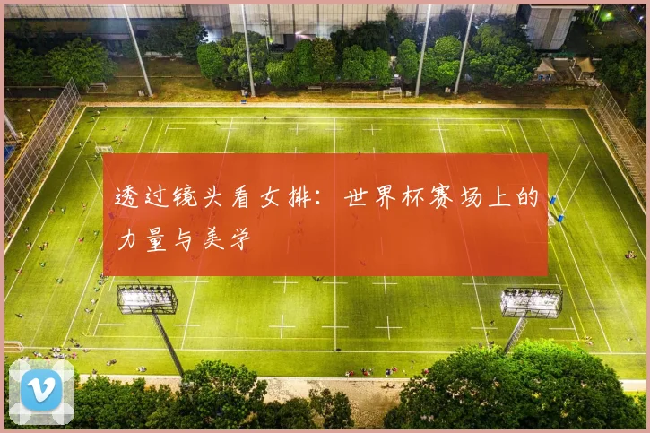 透过镜头看女排:世界杯赛场上的力量与美学