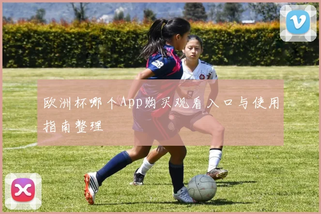 欧洲杯哪个App购买观看入口与使用指南整理