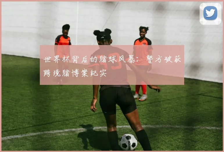 世界杯背后的赌球风暴:警方破获跨境赌博案纪实