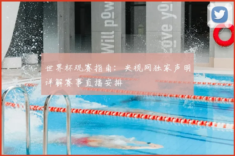 世界杯观赛指南：央视网独家声明详解赛事直播安排