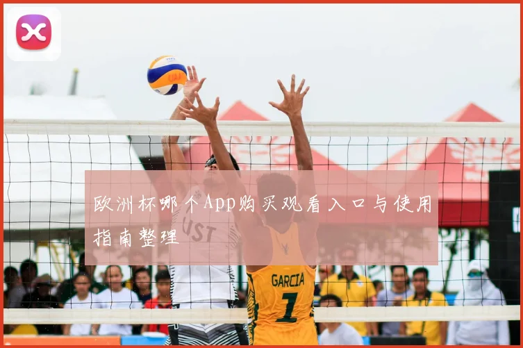 欧洲杯哪个App购买观看入口与使用指南整理