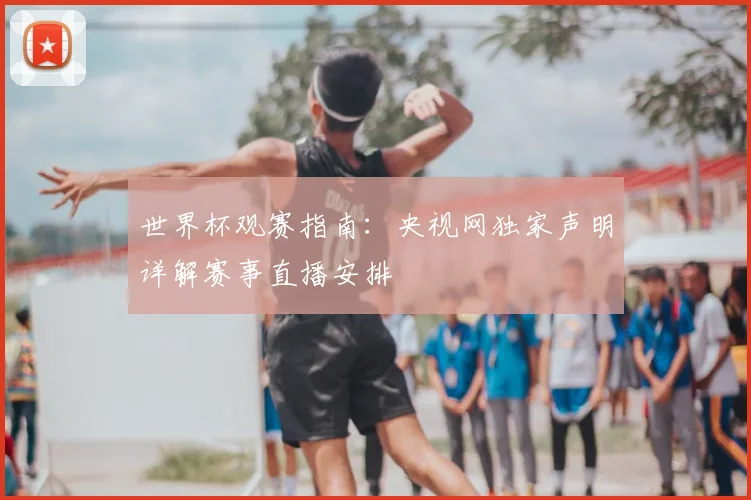 世界杯观赛指南：央视网独家声明详解赛事直播安排