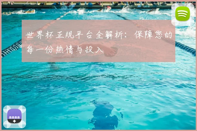 世界杯正规平台全解析:保障您的每一份热情与投入