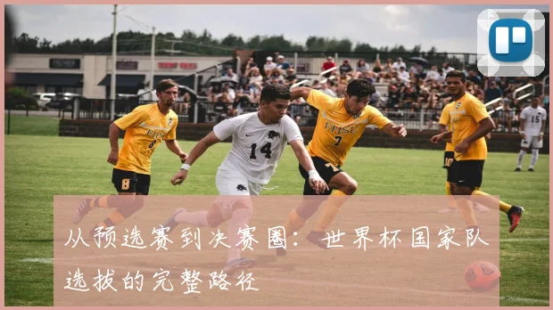 从预选赛到决赛圈：世界杯国家队选拔的完整路径