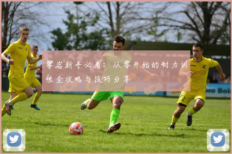 攀岩新手必看：从零开始的耐力训练全攻略与技巧分享