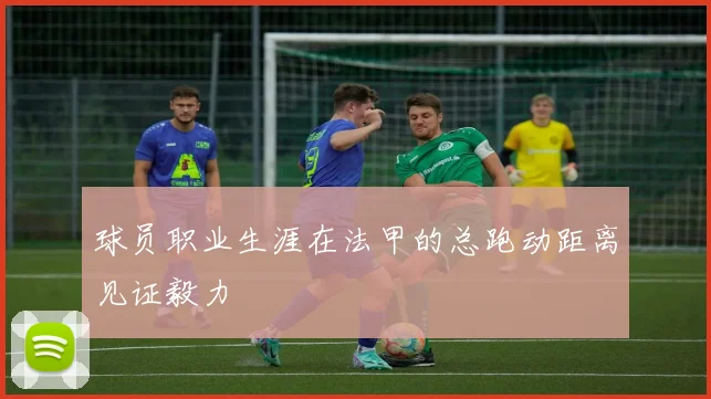 球员职业生涯在法甲的总跑动距离见证毅力