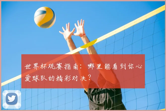 世界杯观赛指南:哪里能看到你心爱球队的精彩对决?