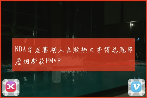 NBA季后赛湖人击败热火夺得总冠军詹姆斯获FMVP