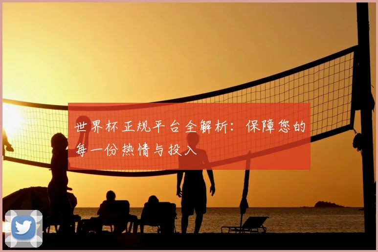 世界杯正规平台全解析:保障您的每一份热情与投入