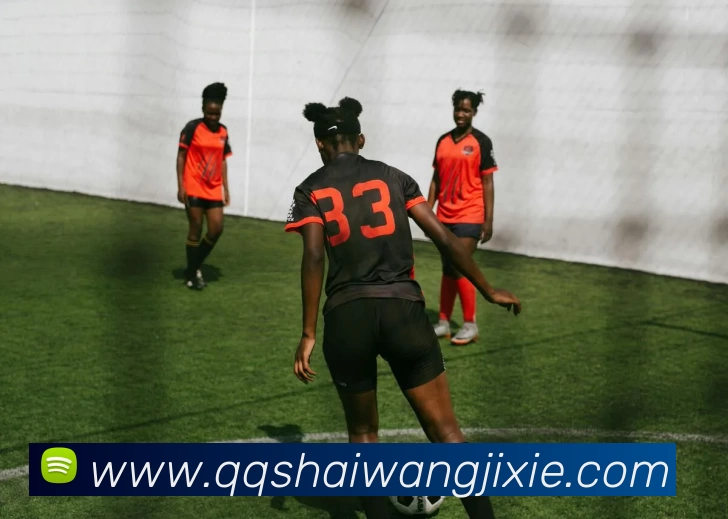 华体会体育平台生态图